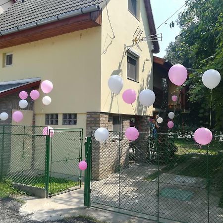 Tiszavirag Vendeghaz Villa Szeged Luaran gambar