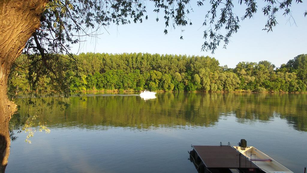 Tiszavirag Vendeghaz Villa Szeged Luaran gambar