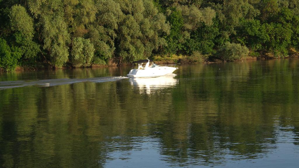 Tiszavirag Vendeghaz Villa Szeged Luaran gambar
