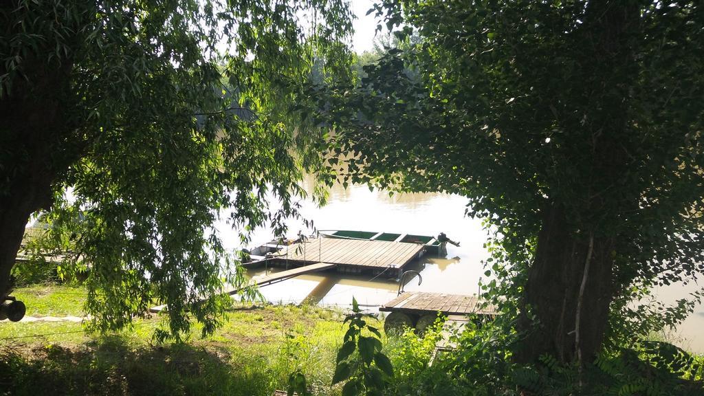 Tiszavirag Vendeghaz Villa Szeged Luaran gambar