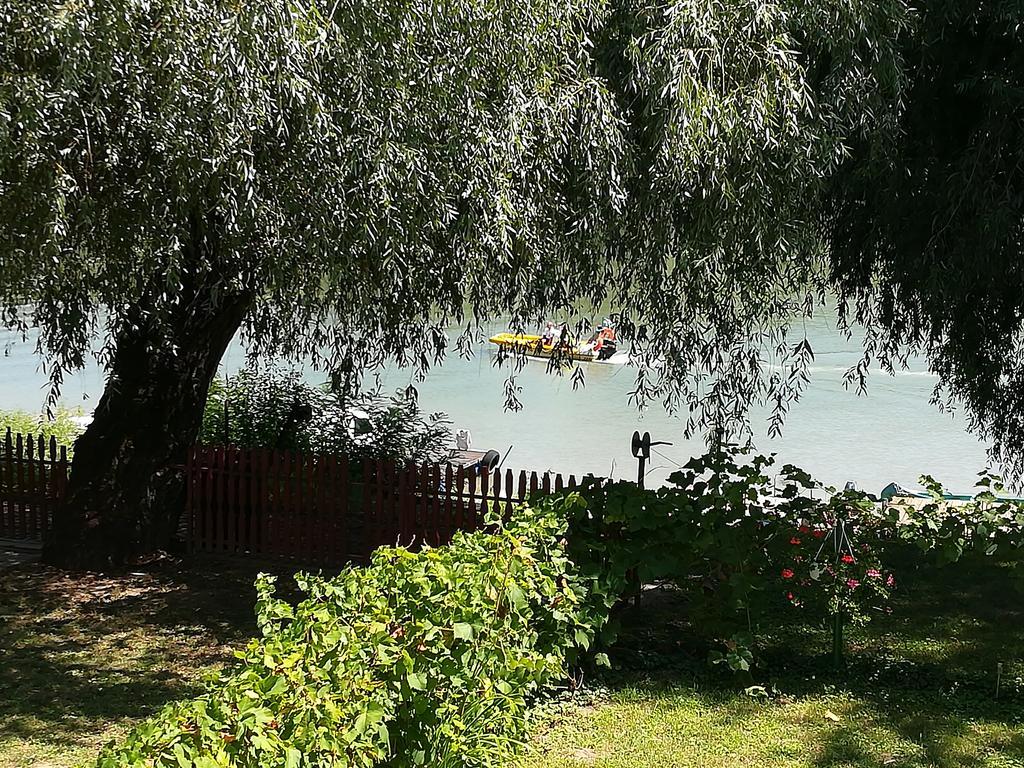 Tiszavirag Vendeghaz Villa Szeged Luaran gambar