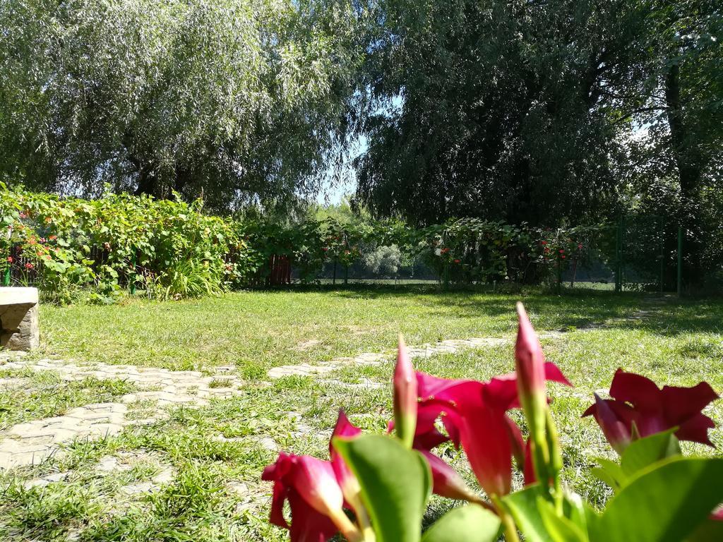 Tiszavirag Vendeghaz Villa Szeged Luaran gambar