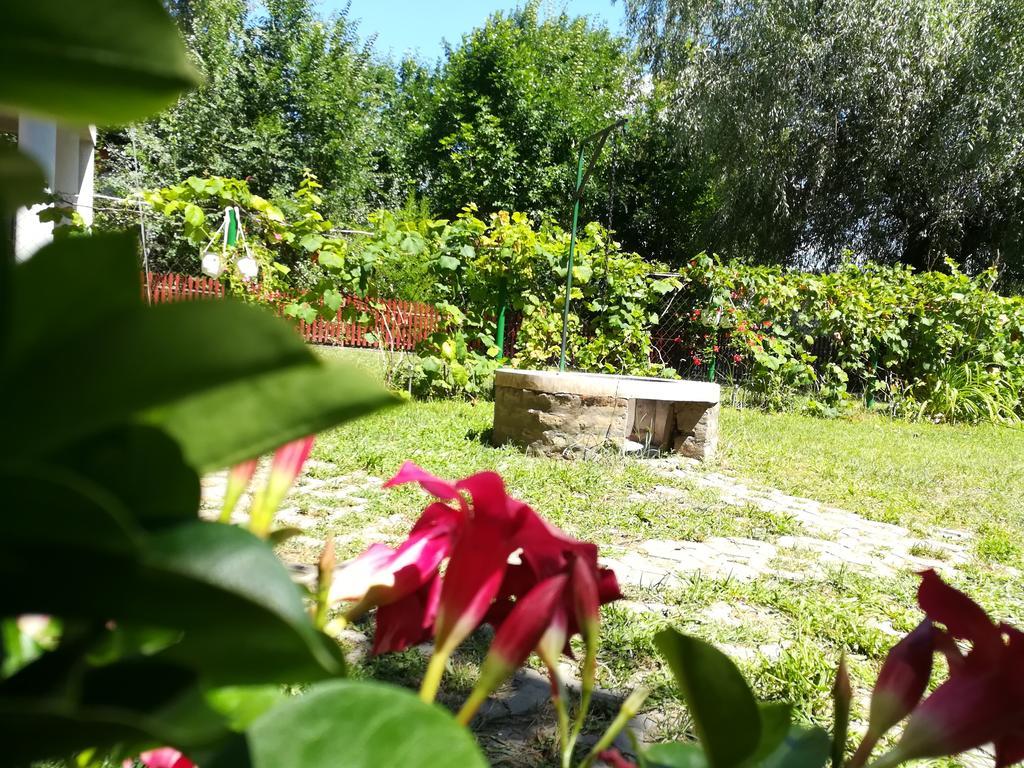 Tiszavirag Vendeghaz Villa Szeged Luaran gambar