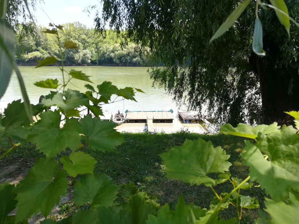 Tiszavirag Vendeghaz Villa Szeged Luaran gambar