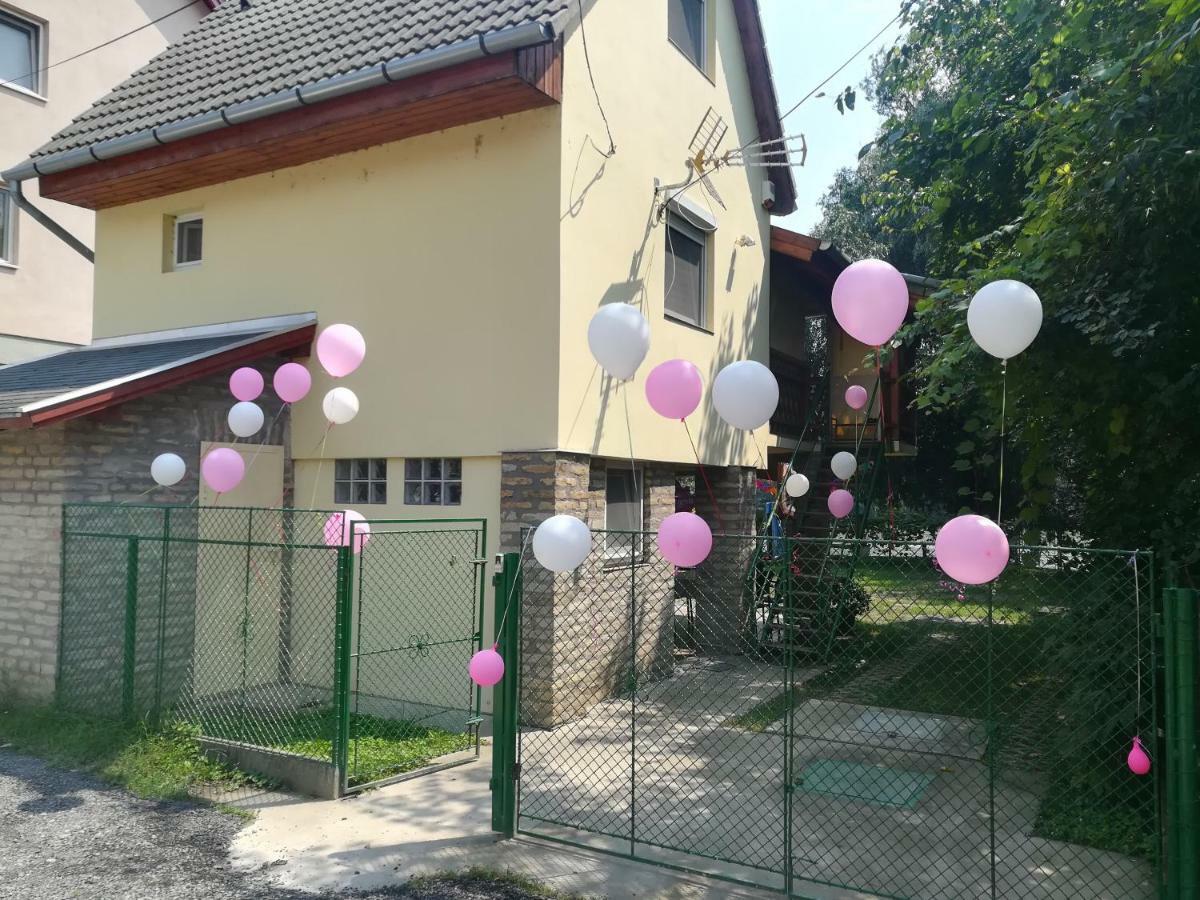 Tiszavirag Vendeghaz Villa Szeged Luaran gambar